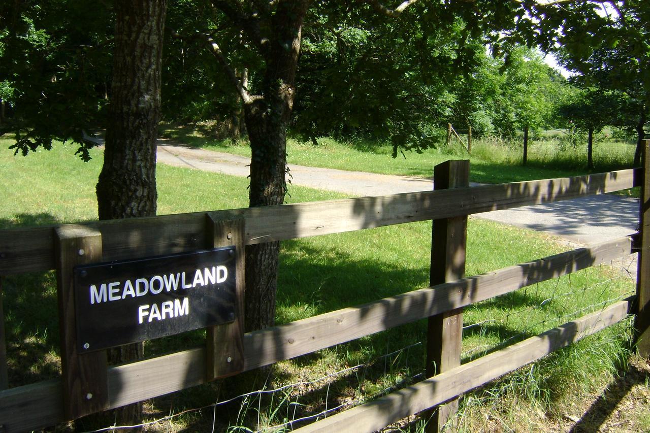 Meadowland Farm Bed & Breakfast Dolton Eksteriør bilde