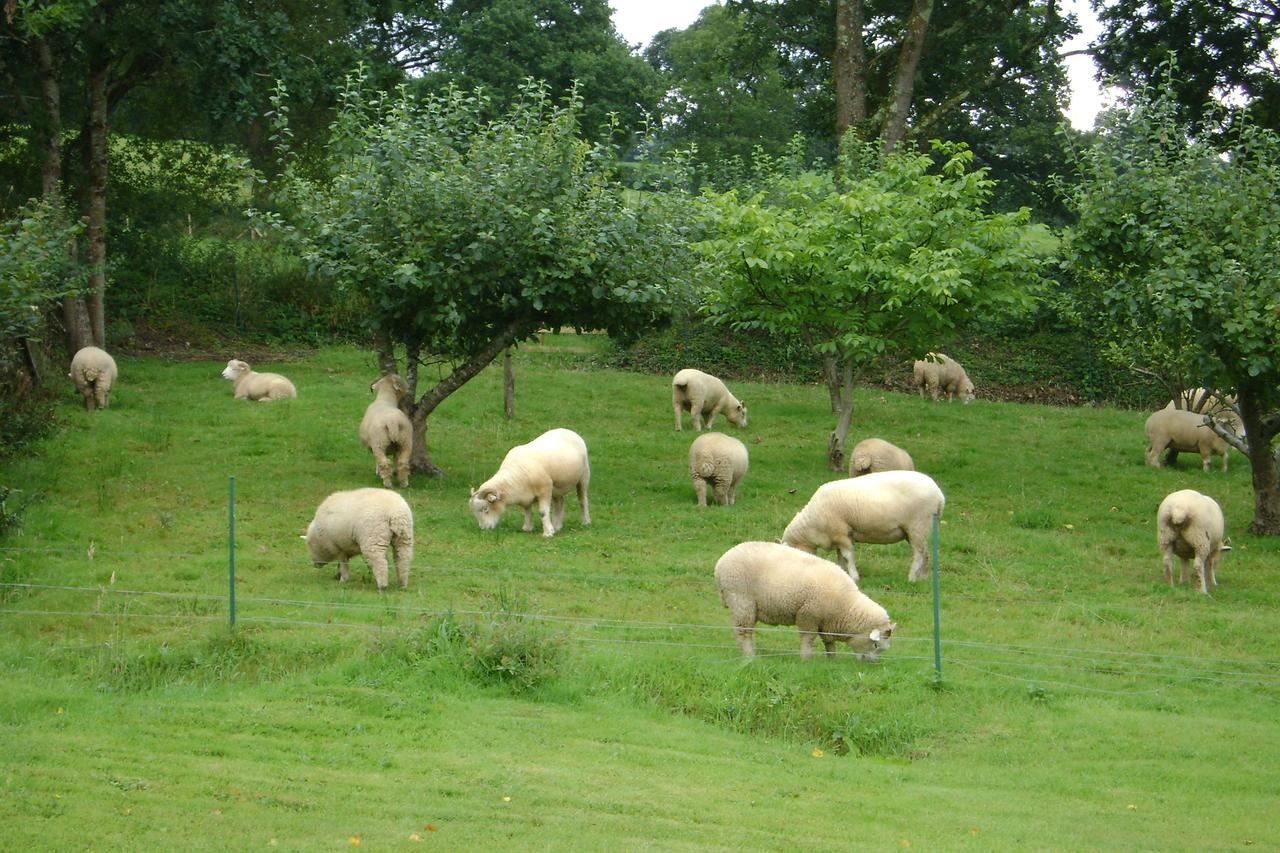Meadowland Farm Bed & Breakfast Dolton Eksteriør bilde